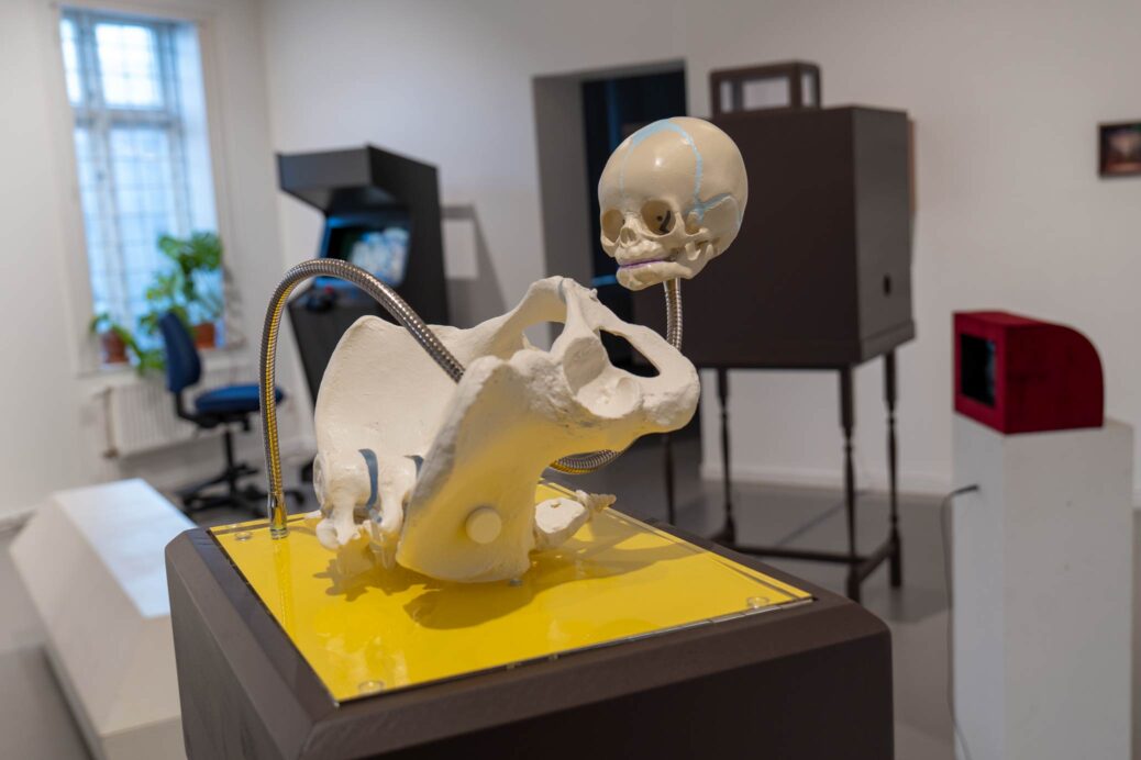 Karl & Carl, installation at Galleri Konstepidemin. Pelvis for demonstration of the birth canal.