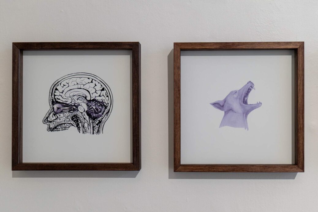 Two framed ink jet prints of drawings of a brain and a dog. By Karl & Carl.